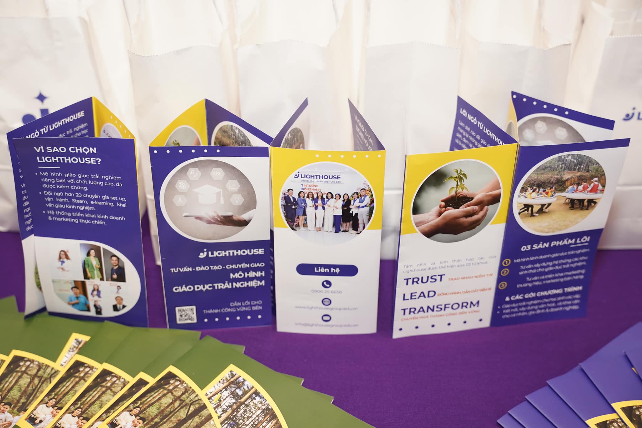 Bộ brocher và catalogue Lighthouse Group.
